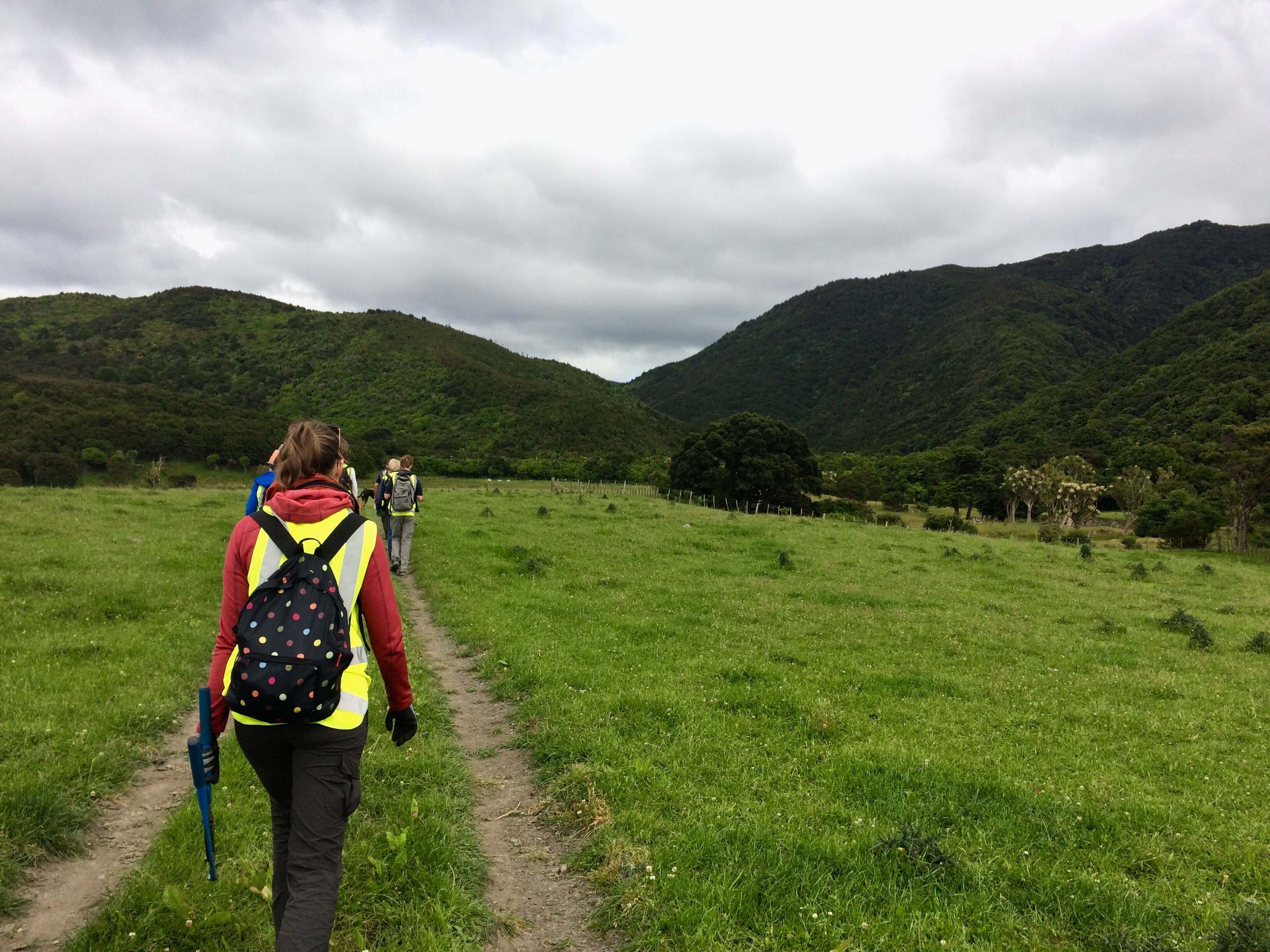 On the way up to the trek