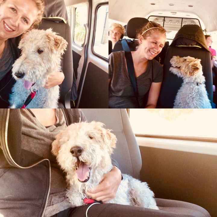 5eb357c9-212c-4321-b6c6-a2169bed47f2-1